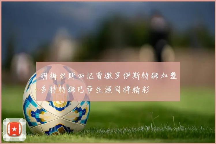 胡梅尔斯回忆曾邀罗伊斯特狮加盟多特特狮巴萨生涯同样精彩