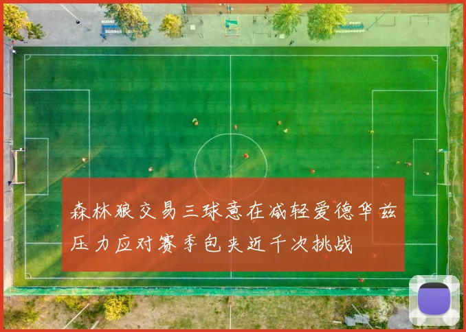 森林狼交易三球意在减轻爱德华兹压力应对赛季包夹近千次挑战