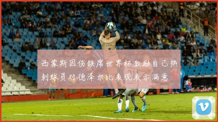 西蒙斯因伤缺席世界杯激励自己热刺球员对德泽尔比表现表示满意